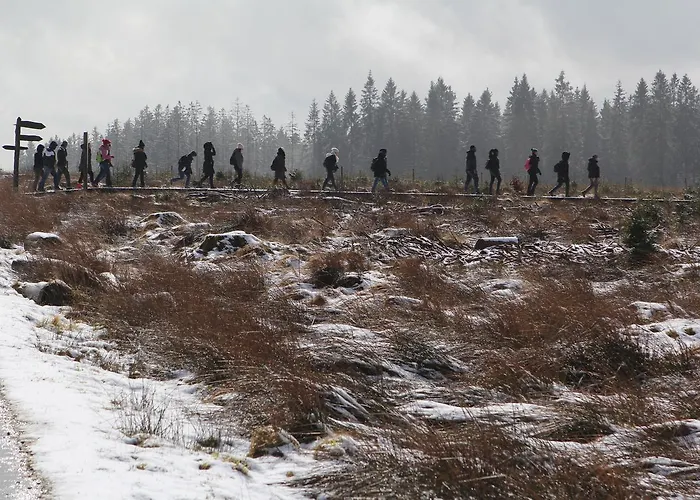 Hi Auberge de jeunesse *